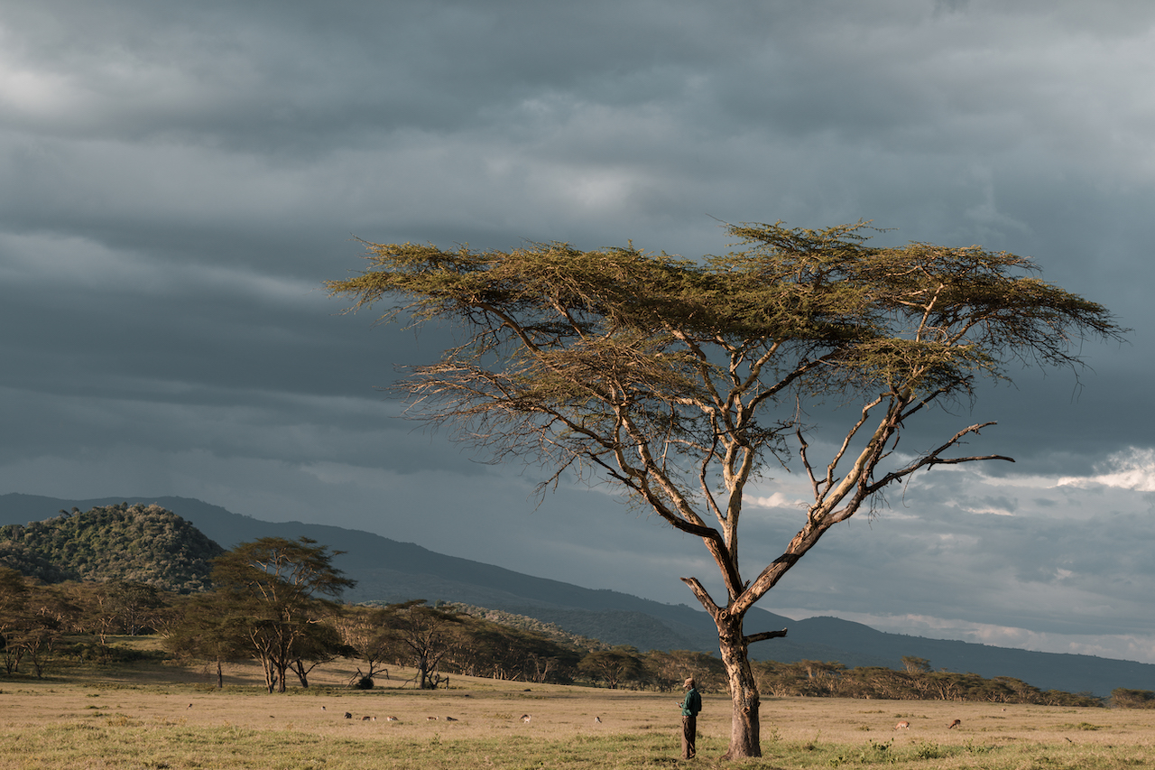 Kenya & Tanzania Safari